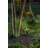 Hinkley Accent LED Spot Light Low Voltage