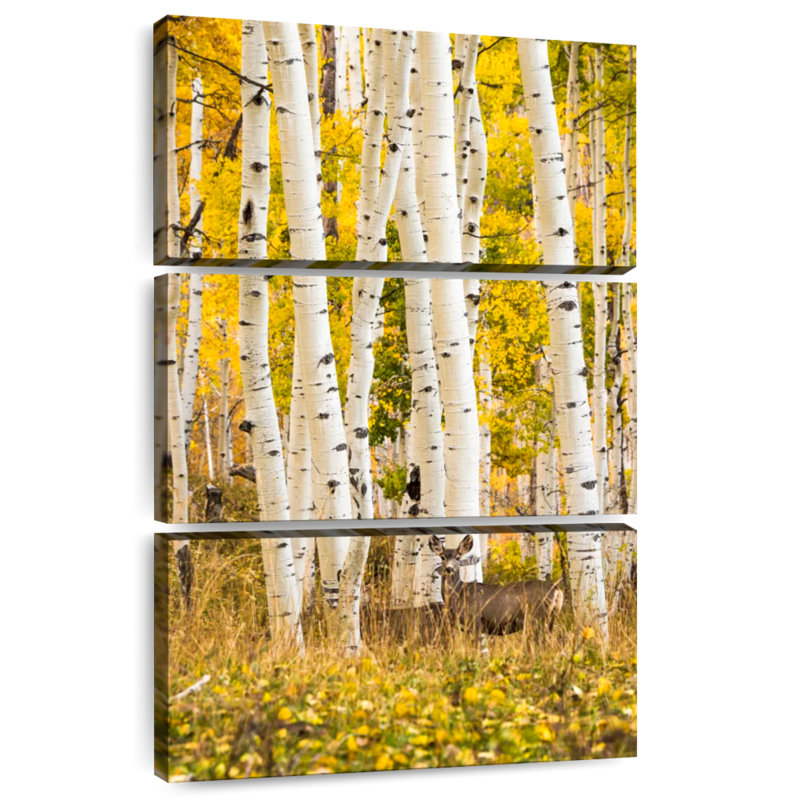 Alvord Aspen Tree Forest