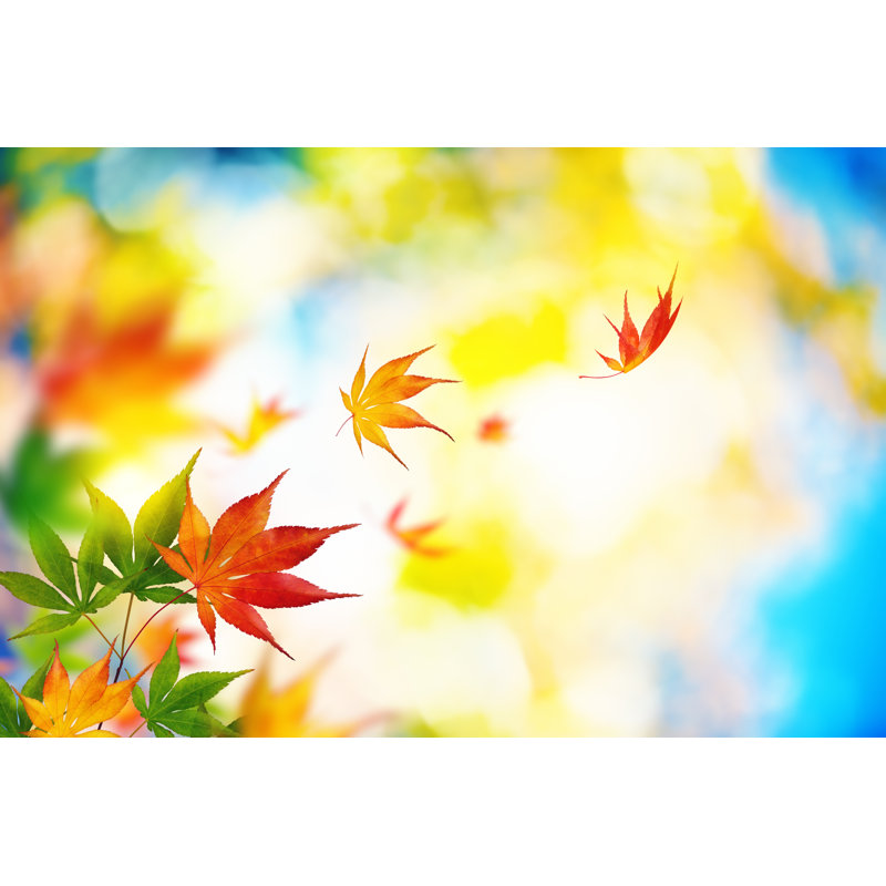 Autumn Leaves - Wrapped Canvas Print, 20cm H x 30cm W