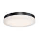 Single Light Glass LED Flush Mount