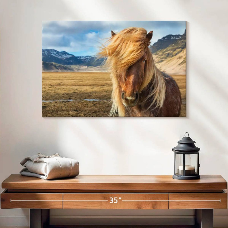 Brampt superbe cheval Islandais, H 16 po x l 24 po