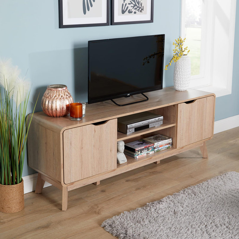 Udall 2 Door TV Entertainment Stand with Storage