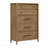 Modern Transitional 5-Drawer Chest Vertical Storage Brown Finish Durable Bedroom Furniture 1pc