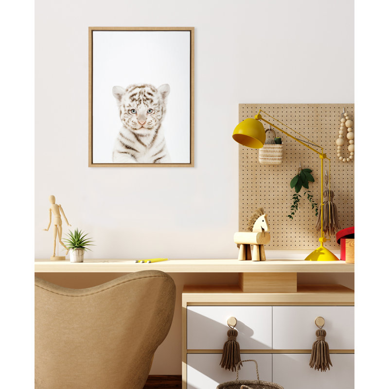 «Animal Studio Baby White Tiger» par Amy Peterson, reproduction d'art sur toile encadrée, Encadré naturel