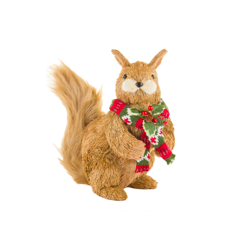 Curieux écureuil brun