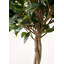 150cm Faux Plant in Cement Pot