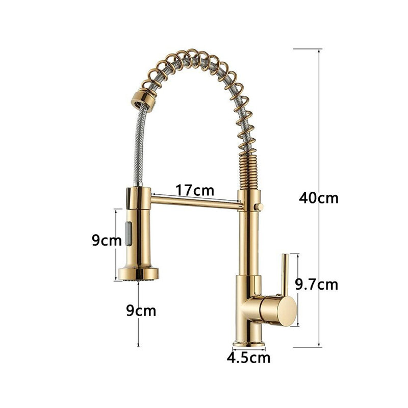 Belfry Kitchen Dejean Kitchen Faucet