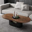 Table basse luxueuse haut de gamme-107505155-107505156