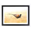 A Pheasant Bird in Abstract - Picture Frame Painting Print-55629690-55629686