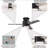 Caliopia 42'' Ceiling Fan with LED Lights-116215002