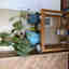 Photos des clients 1 de 1