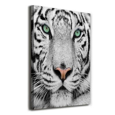 White Tiger - Wrapped Canvas Print