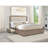 Eastern King LED Storage Bed with Plush Headboard