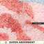 Tapis de bain Rose