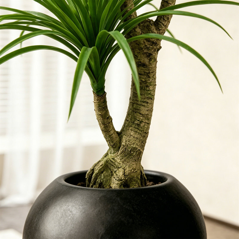 Plantes artificielles réalistes pour la décoration intérieure, Noir