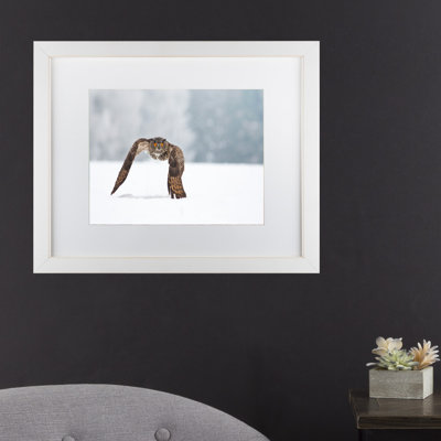 « eurasian eagle hibou », reproduction de photo sur toile tendue