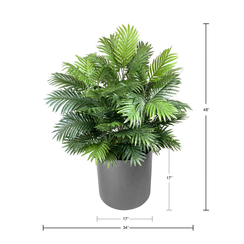4' Areca Palm Bush In Fiberstone Planter