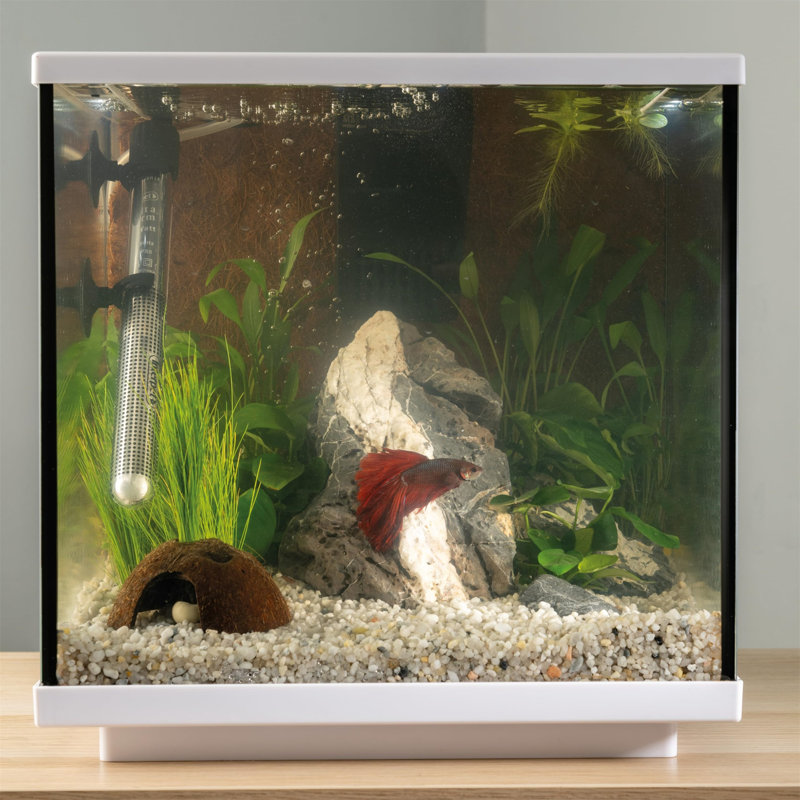 Glass Fish Tank Aquarium With Integrated LED Lighting And Easy Care Filter, 28L, Clear