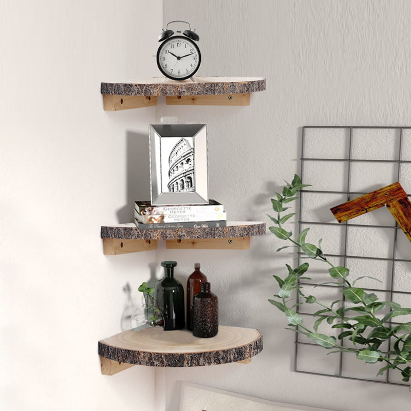 Aayran 3 Piece Solid Wood Floating Shelf