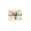 Art mural en toile 24 po x 18 po Longhorn Summer Desert Journey