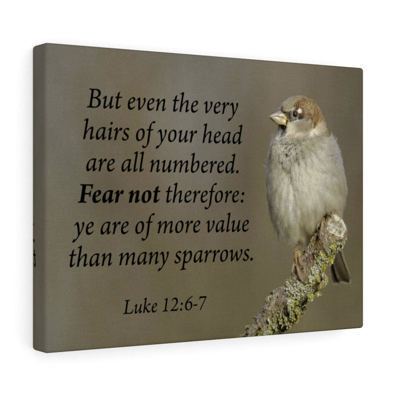Value Luke 12:6 - Wrapped Canvas Print, 30cm H x 41cm W
