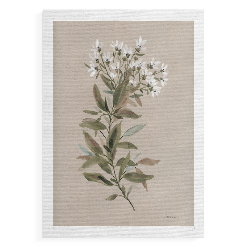 Tige florale blanche I - Impression sur toile seulement - NON-CADRE