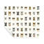Cool Cats Peel & Stick Wallpaper Roll-86503936