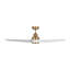 Smart LED Downrod Ceiling Fan-178158277