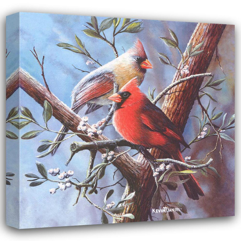 Cardinal