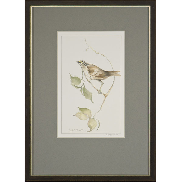 «Sparrow» par Daughdrill - peinture encadrée