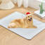 Tapis de refroidissement en soie glacée pour chien Summer Cool-1920502333-1920502334