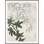 Wind Chimes 2 Print by Art House Studios-1113531120