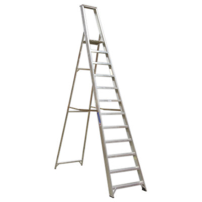 Shawnna 12 - Step Aluminium Lightweight Folding Small Step Ladder