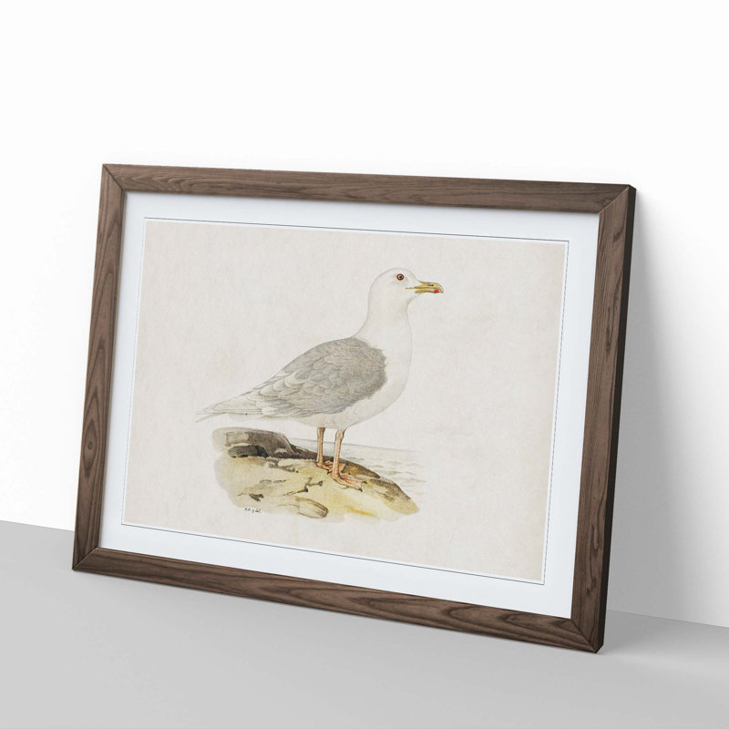 Icelandic Gull by Von Wright - Picture Frame Painting Print, Walnut Framed, 27cm H x 36cm W x 2cm D