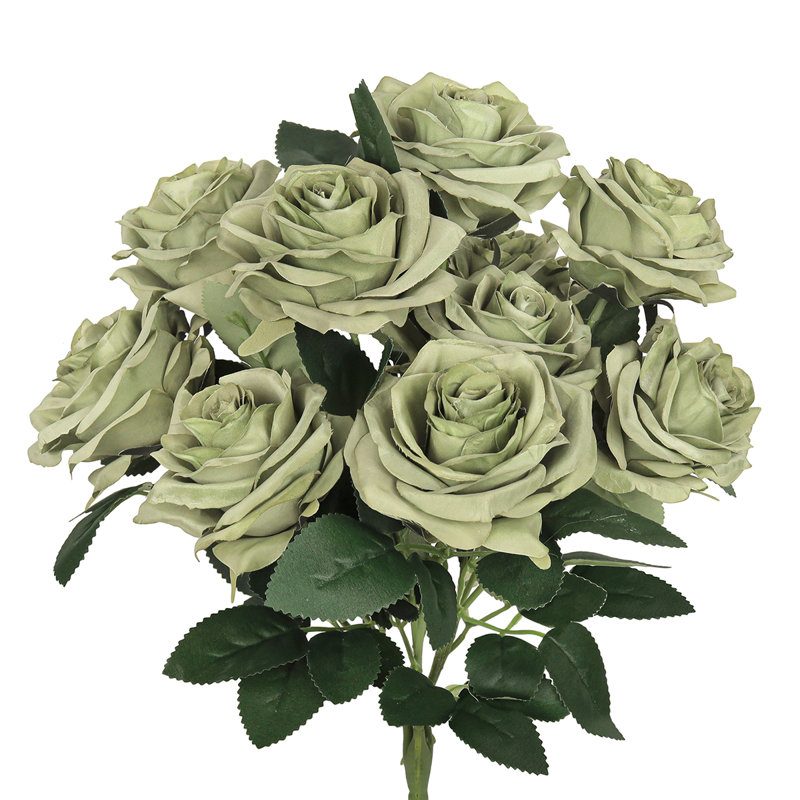 Grand rosier Jaafer Deluxe, Vert