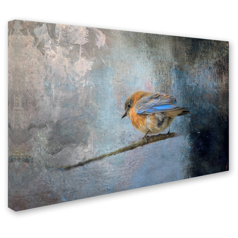 «Bluebird in Winter» par Vidur, impression sur toile tendue, 16 po x 24 po