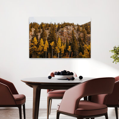 Guanella Pass Aspens