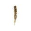 Fall Feathers IV Print by Elena Carlie-26950604-26950609