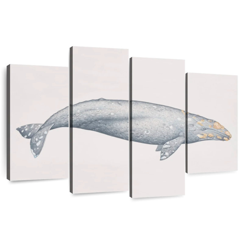 Brampt Gray Whale, 42" H x 68" W