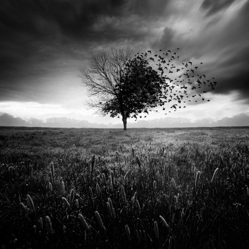 Wrapped Canvas Print, 50.8 cm H x 50.8 cm W