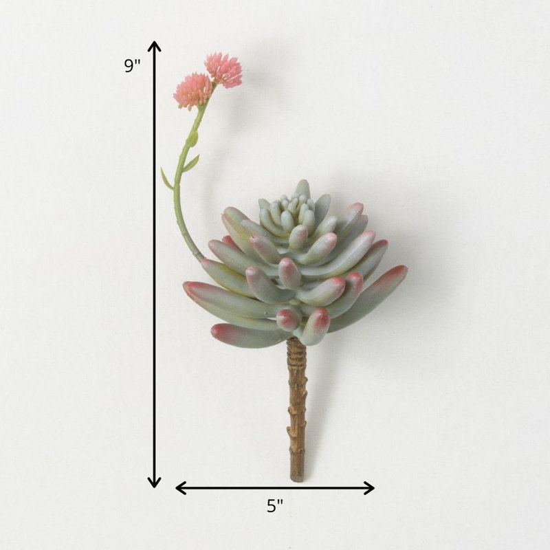 Darwen Succulent Arrangement