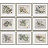 Malaberica (Colored) by Paul Cezanne - Picture Frame Painting Set on Paper