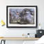 Two Hippos - Framed Print-62792923-62792927