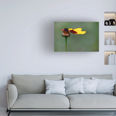Art mural sur toile tendue - Anna Cseresnjes «The Last Ones Before Winter», art mural pour le salon, la chambre à coucher ou le bureau - 22 x 32