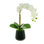 Orchid Arrangement in a Glass Vase with Orchid Leaves and Moss