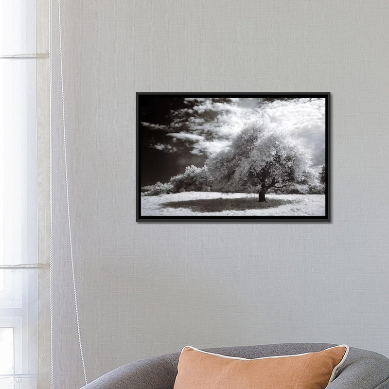 « paix », impression sur toile, H 18 po x l 26 po x P 1,5 po, Toile avec cadre noir, Pas de tapis