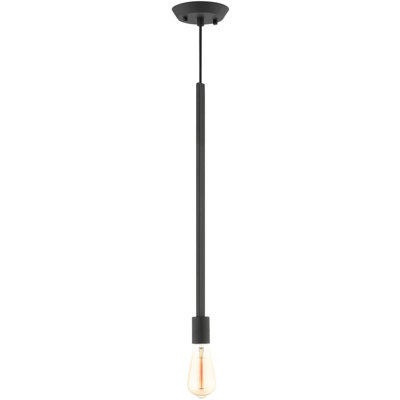 1 - Light Single Pendant