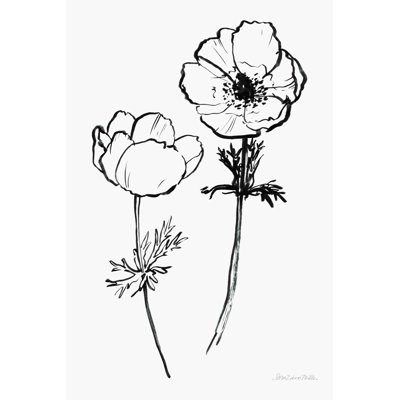 Photographie «Ink Anemones II» par Sara Zieve Miller