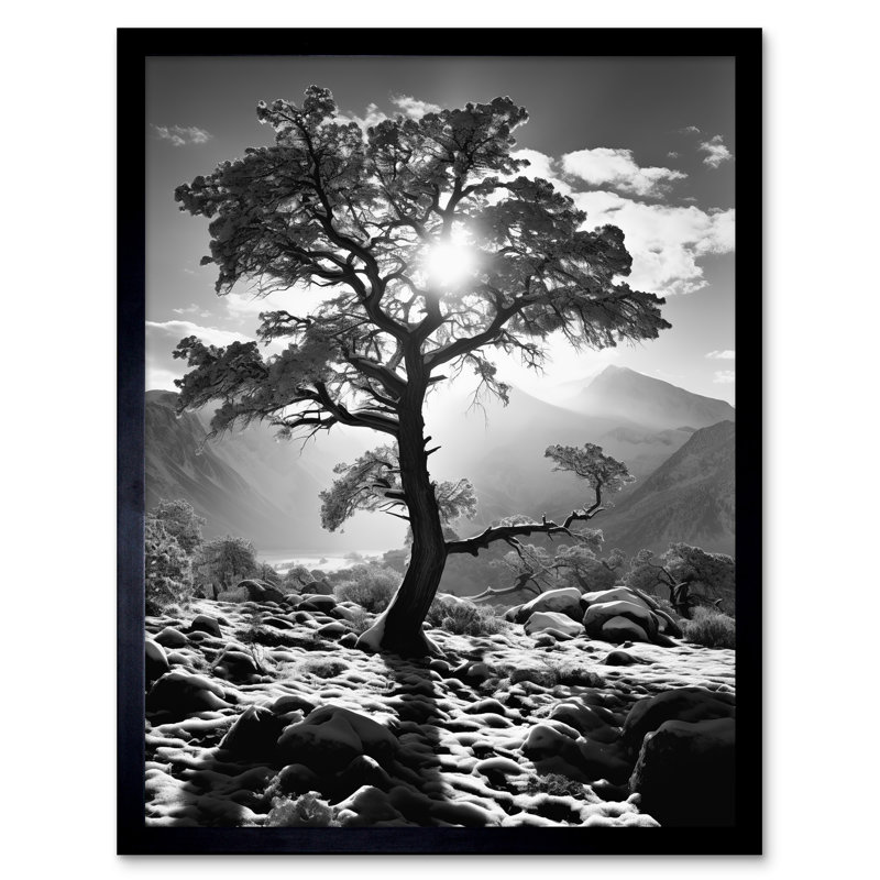 Frozen Tree Outline Mountain Landscape Snow Black White - Single Picture Frame Print