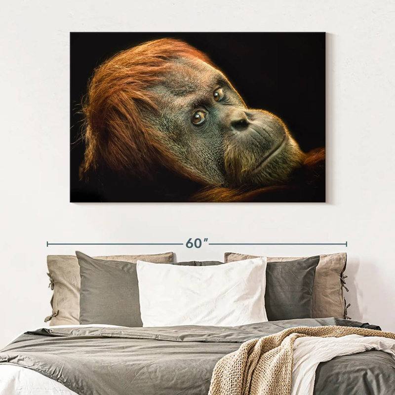 Brampt Dramatic Orangutan, 34" H x 51" W